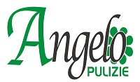 Angelo Pulizie